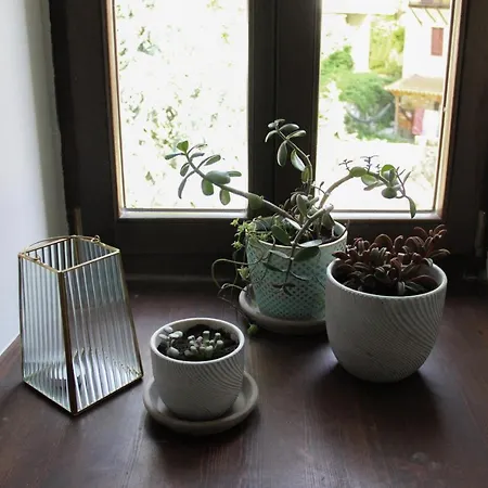 Guest house Tsarbou 4*