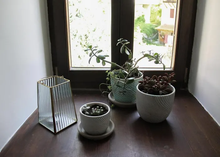 Pensionat Tsarbou 3*