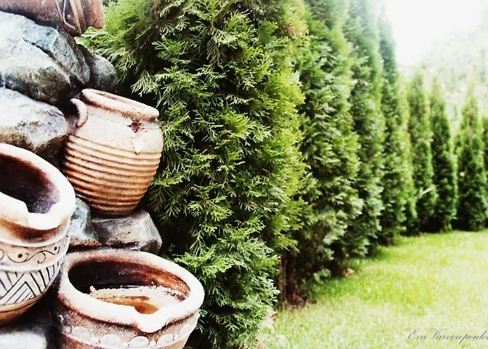 Pensionat Tsarbou Stemnitsa